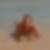 Profilbild von Martin Tiefnig