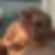Profilbild von James Broucek