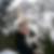 Profilbild von Bettina Wilfinger