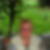 Profilbild von Ursula Postl