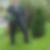 Profilbild von Christoph Zeppetzauer