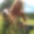Profilbild von Claudia Nemecek