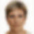 Profilbild von Anna Korherr