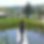 Profilbild von Sylvia Brandner