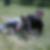 Profilbild von Richard Gruber