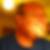 Profilbild von Gerhard Mayer