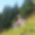 Profilbild von Birgit Rogge