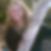 Profilbild von Adelheid Meissl