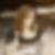 Profilbild von Maria Majer