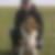 Profilbild von Roland Luger