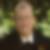 Profilbild von Thomas Panholzer