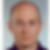 Profilbild von Siegfried Mayr