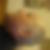 Profilbild von Werner Reichenpfader