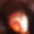 Profilbild von Christine Ganglberger