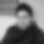 Profilbild von Stephan Rottensteiner