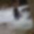 Profilbild von Yalcin Yesiltas