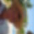 Profilbild von Roswitha Goeth