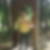 Profilbild von Thomas Fostel