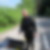 Profilbild von Marl Hansjörg