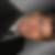 Profilbild von Thomas Nader