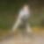 Profilbild von Elke Gimpl