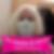 Profilbild von Nicole Grössing
