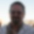 Profilbild von Gerhard Schöberl