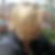 Profilbild von Sabine Mühlberger