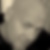 Profilbild von Alexander Rammel