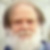 Profilbild von Steve Haber