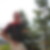 Profilbild von Karl Arnhof