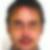 Profilbild von Leopold Gringer