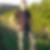 Profilbild von Stefan Molin
