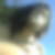 Profilbild von Michael Gneist