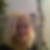 Profilbild von Birgit Wippernig-Türk