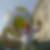 Profilbild von Marcus Loran