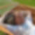 Profilbild von Michael Laus