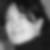 Profilbild von Marika Lang