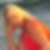 Profilbild von Patricia Poferl