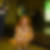 Profilbild von Cornelia Nowak