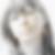 Profilbild von Doris Bogner