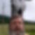 Profilbild von Hannes Horak