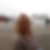 Profilbild von Ruth Zischka