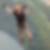Profilbild von Martin Lucan-Stood