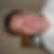 Profilbild von Ferdinand Schamberger