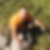 Profilbild von Andreas Weiss