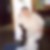 Profilbild von Evelyne Sram