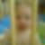 Profilbild von Cornelia Baumann