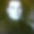 Profilbild von Thomas Leitl