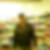 Profilbild von Robert Furch